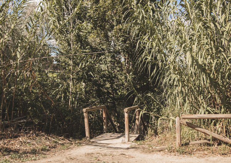 Celebra el Día del Medio Ambiente con nosotros: compromiso y calidad en cada puntada