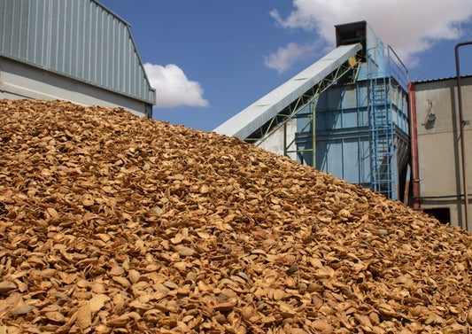 ¿Qué es la biomasa?