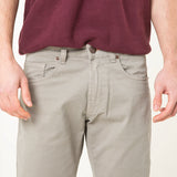 RAY GRAYISH GREY